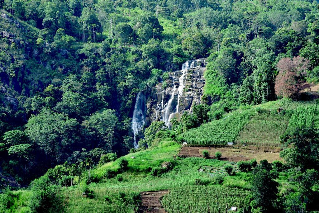 Romance In Ella Luaran gambar